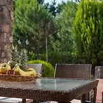 Olympus Вилла Паралия-Скотинас