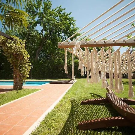 Olympus * Paralía Skotínis