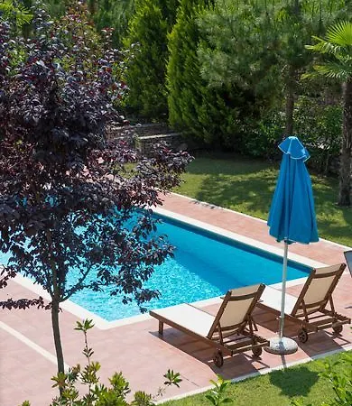 Olympus Paralia Skotinis